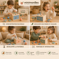 Boîte de Tri Montessori en Bois