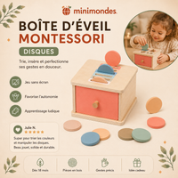 Boîte de Tri Montessori en Bois